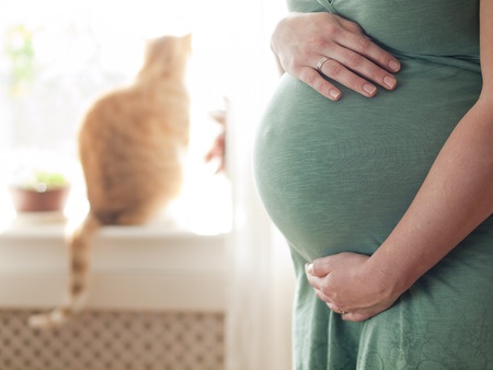 Toksoplasmoosi mõju rasedusele